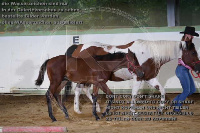 a_K3F03787.JPG
